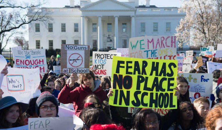 The Impact of U.S. Gun Laws on Teachers and the Education System