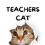 teacherscat